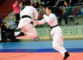 Beneficiile Aikido pentru dezvoltarea fizica a copiilor