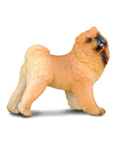 Chow Chow - Collecta