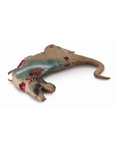 Figurina dinozaur cadavru de Tyrannosaurus pictata manual XL Collecta