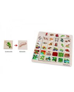 Asociere si sortare Jungla