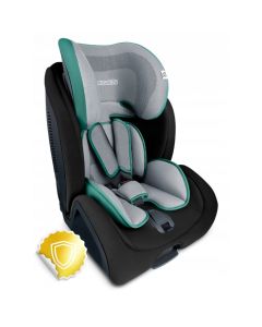 Scaun auto 9-36 Kg cu ISOFIX Ricokids Qway - Negru cu Albastru
